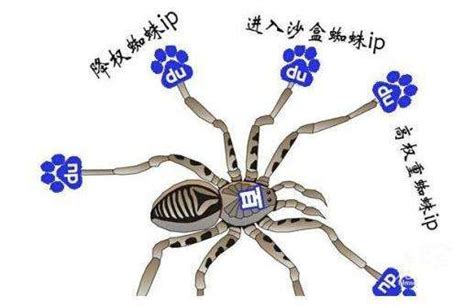 搜索引擎百度蜘蛛详解，百度蜘蛛IP分析_超级蜘蛛池