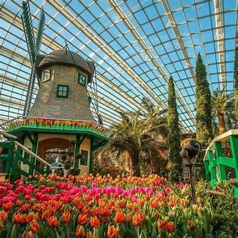 Gardens By The Bay Ticket, Garden Rhapsody, Singapore, 28 July 2023 ...