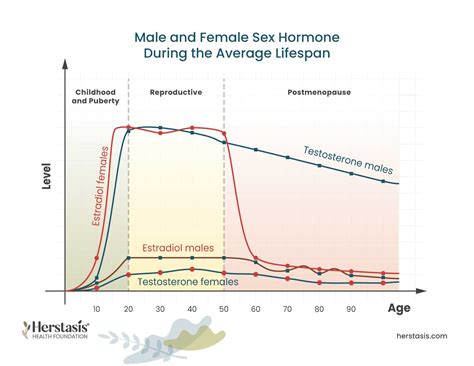 Male Menopause - Manopause - Low Testosterone - Herstasis® Health Foundation
