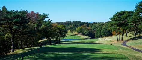 Crowned Sportsfield 的图像结果