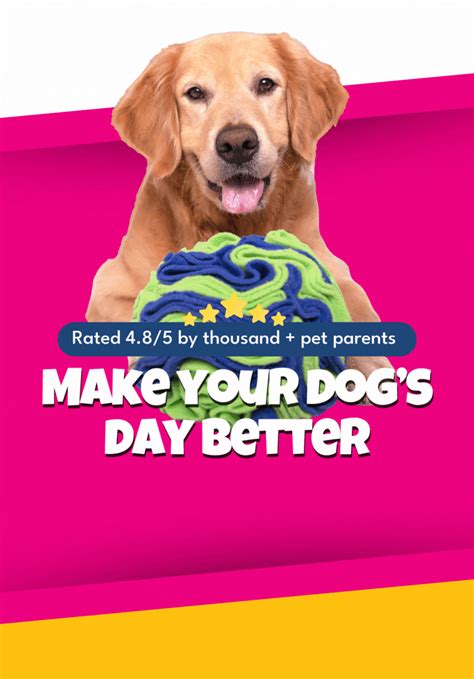 Enrichment Dog Toys & Adventure Gear – For the love of Dog