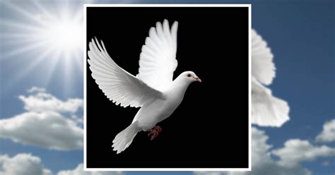 Obituary | Celene Bolen of Hillsville, Virginia | Vaughan-Guynn-McGrady ...