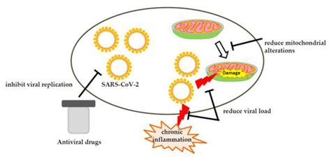 Possible Pathogenesis and Prevention of Long COVID: SARS-CoV-2-Induced ...