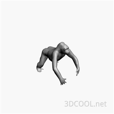 狒狒 3D模型 免费下载 - 3DCOOL 3D酷站
