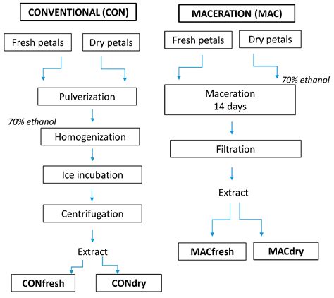 Effect of Petal Color, Water Status, and Extraction Method on ...