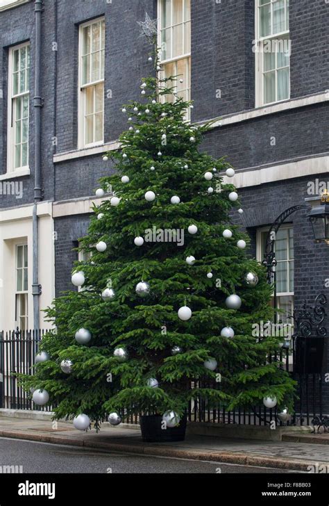 Number 10s Exploding Christmas Tree 的图像结果