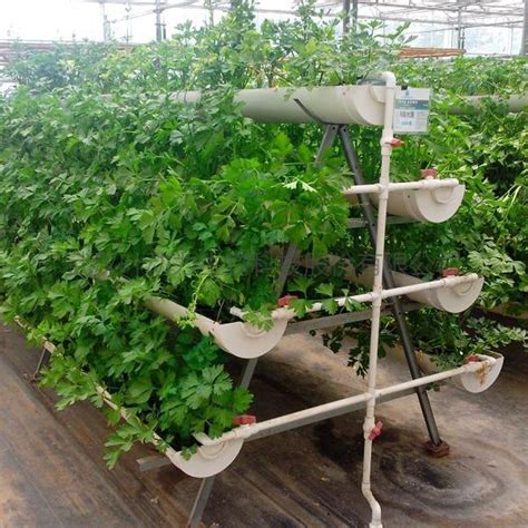YDL-JZCP-A字型立体管道草莓种植槽基质栽培架-武汉叶动力生物科技有限公司