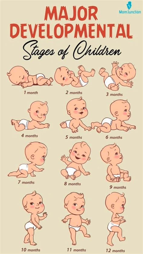 Teething Patterns in Babies: What Order Do First Teeth Come? | Baby teeth order, Baby teeth ...