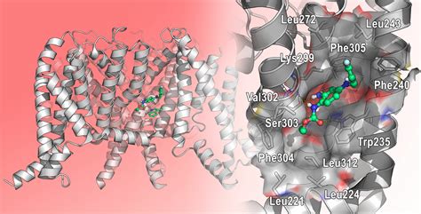 In Silico Methods for the Discovery of Kv7.2/7.3 Channels Modulators: A ...