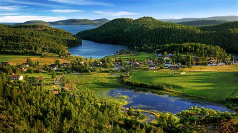 乡村壁纸 的图像结果