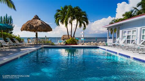 Amy Slate's Amoray Dive