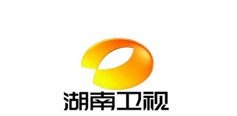 湖南卫视推出2020年新视觉包装！_搜狐汽车_搜狐网