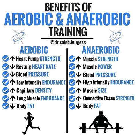 Aerobic vs Anaerobic Exercise Chart