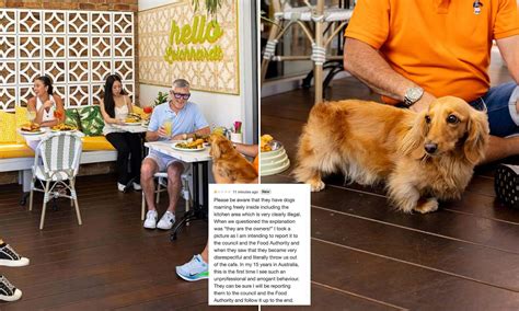 Unbelievable dog row at popular café divides opinion after diner leaves ...