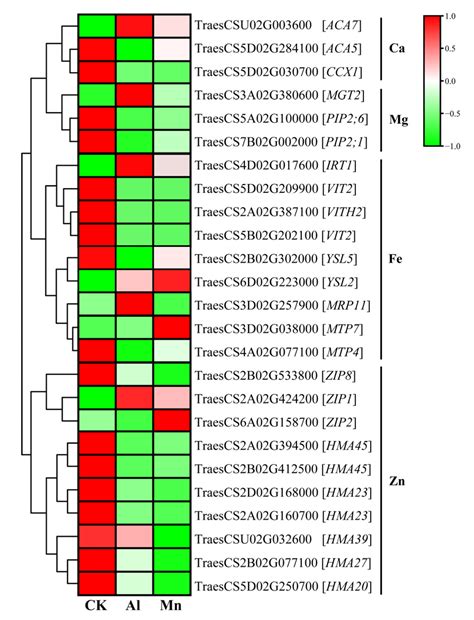 Physiological and Transcriptomic Analyses Reveal Commonalities and ...