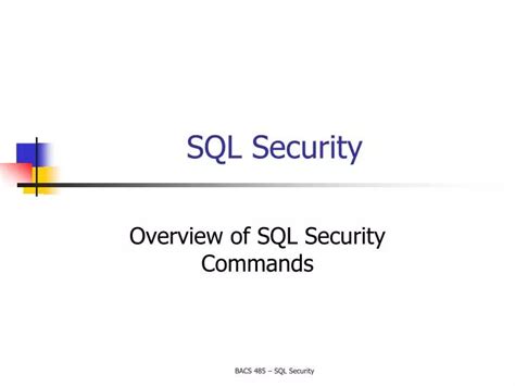 Image result for SQL Security Example
