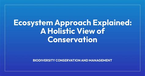 Image result for Ecosystem Approach