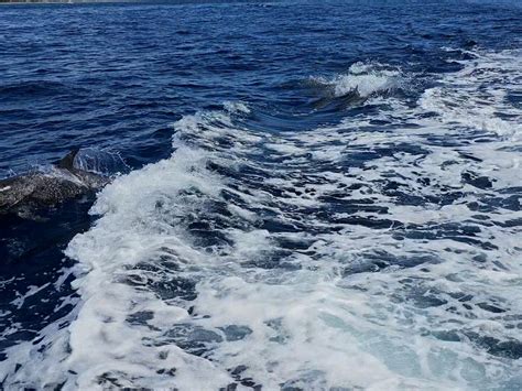 SPLASHDOWN DIVERS (2026) All You Need to Know BEFORE You Go (with ...