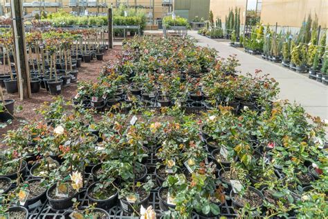 Largest Nursery In Melbourne at Daria Willis blog