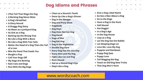 Dog Idioms and Phrases in the English Language - Word Coach