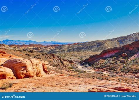 Valley with Arroyo in Valley of Fire State Park, Nevada Stock Image - Image of river, desert ... - wildlife in valley of fire state park