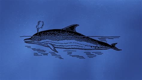 Image result for JavaScript Language Animal