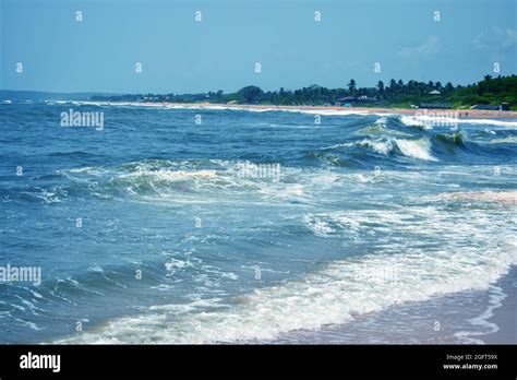 Sea Background 的图像结果