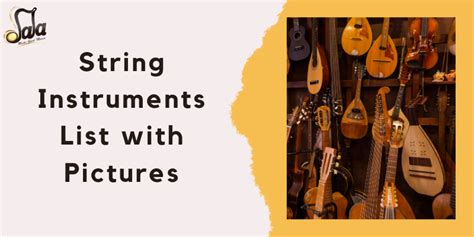 Image result for String Instruments List with Pictures