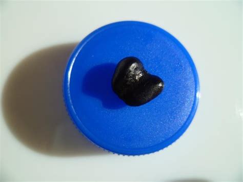 Manolya (Magnolia) - Page 12 - agaclar.net