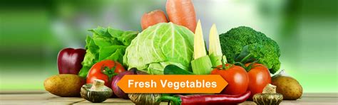 DHARSINI EXPORTS, Dharsini exports coimbatore, Dharsini exports.com ...