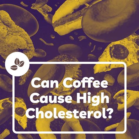 Can Coffee Cause High Cholesterol? What You Need To Know 2025