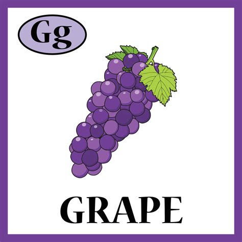 Grape Alphabet cute Flash card. Letter G. Practice learning for children, kids, kindergarten ...