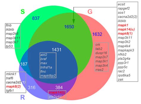 Transcriptomes of Injured Lamprey Axon Tips: Single-Cell RNA-Seq ...