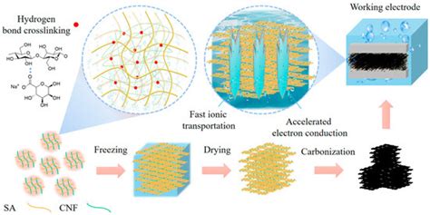 Ultralight Carbon Aerogels with Highly Hierarchical Porous Structures ...