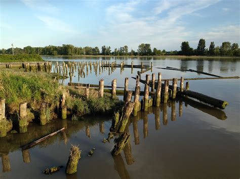 THE BEST Themed Hotels in Richmond 2026 (with Prices)