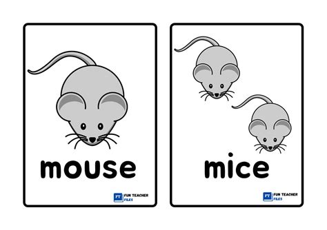 Irregular Plural Nouns Flashcards - Fun Teacher Files