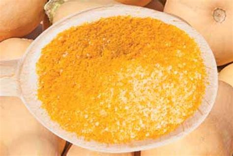 Dehydrated Pumpkin Powder Manufacturers and Suppliers from Fatehgarh Sahib