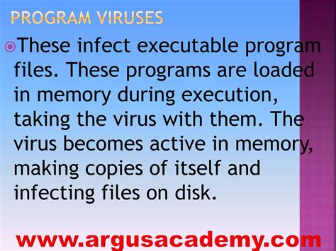 Virus Examples 的图像结果