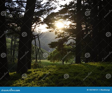 Sunset Over the Oakland Hills in the California Stock Image - Image of ...