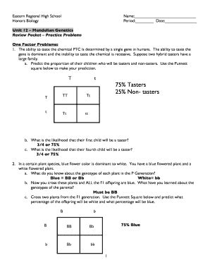 Genetics Practice Problems - Fill and Sign Printable Template Online
