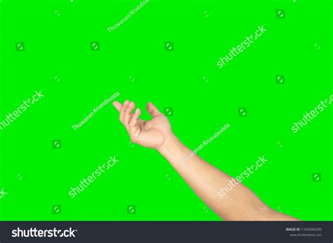 Camera Hand Greenscreen 的图像结果