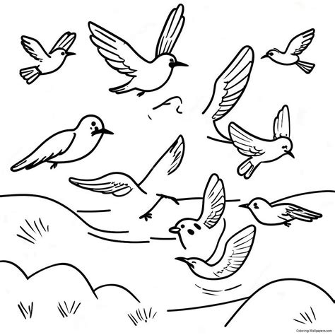 Migration Birds Flying Coloring Page (16190-12756)