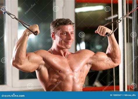 Biceps - Overhead Cable Curl Stock Image - Image of model, exercise ...