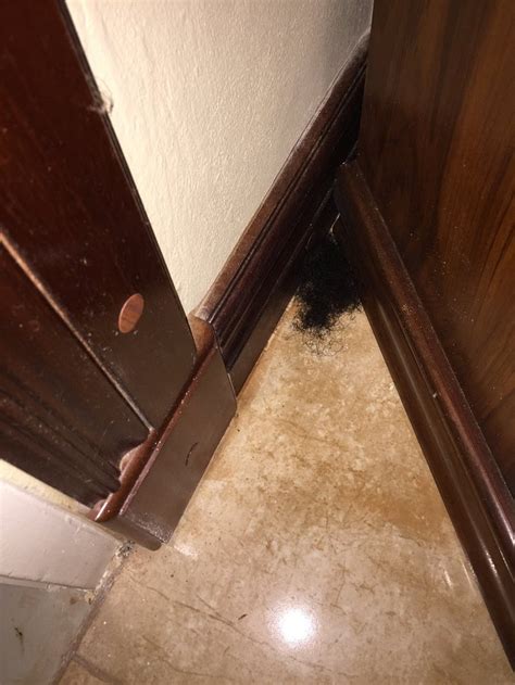 LE CHATEAU VILLA BEAUX PARADIS (Bluefields) - Guesthouse Reviews ...