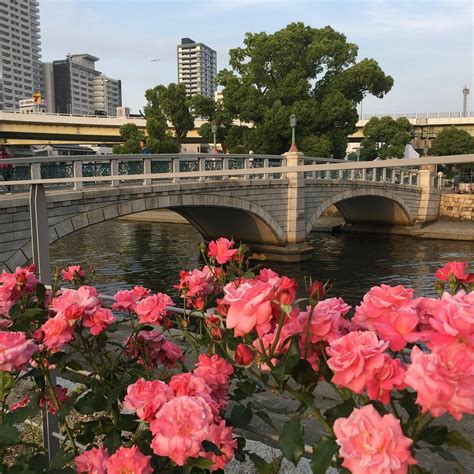 BARAZONO BRIDGE (Updated 2026) All You Need to Know BEFORE You Go (with ...