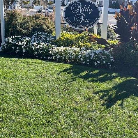ADDY SEA HISTORIC OCEANFRONT INN (Bethany Beach) - Hotel Reviews ...