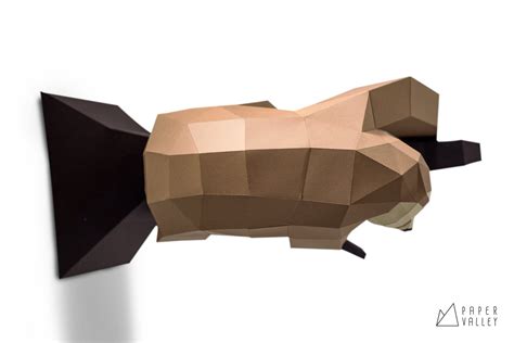 Image result for Paper Sloth