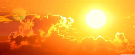 Vitamin D And Depression Mechanism at Nate Piquet blog