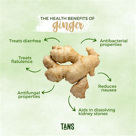 The Health Benefits Of Ginger, And How To Use It! - benefits of ginger in the body