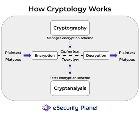 Examples of Encryption 的图像结果